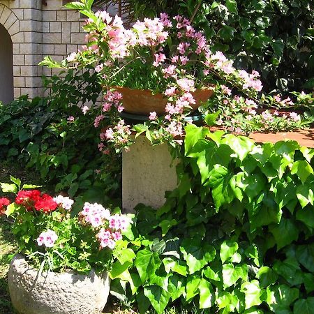 Guest House Caterina Poreč Extérieur photo