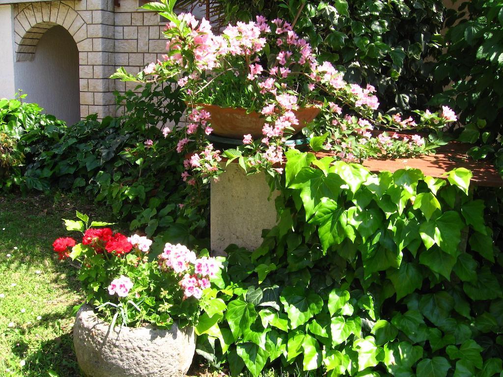 Guest House Caterina Poreč Extérieur photo